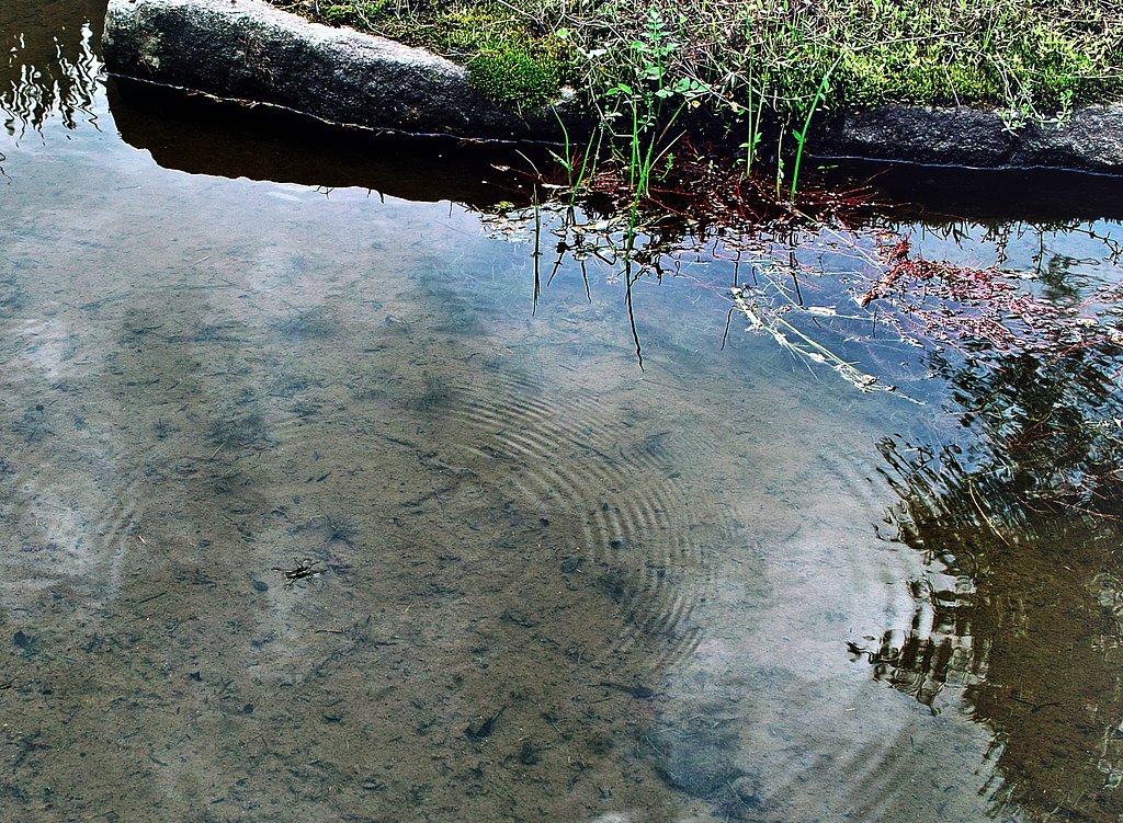 【睦】水たまり