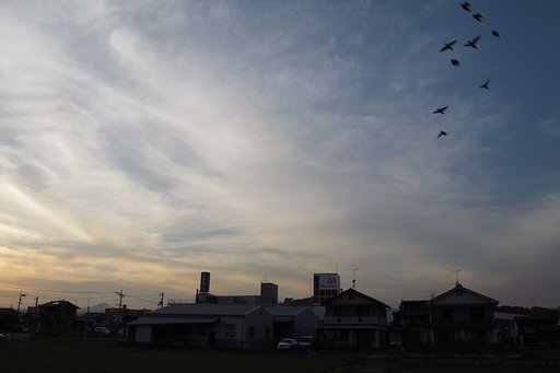 夕暮れ