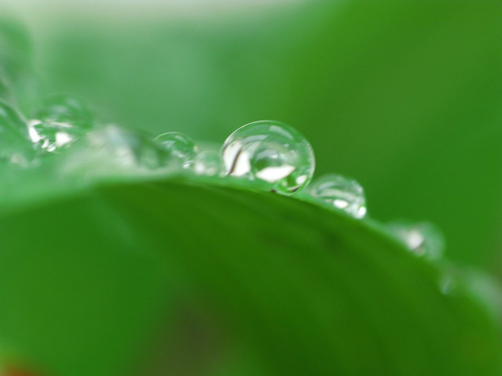 【睦】水滴