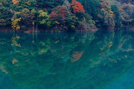 湖面を彩る