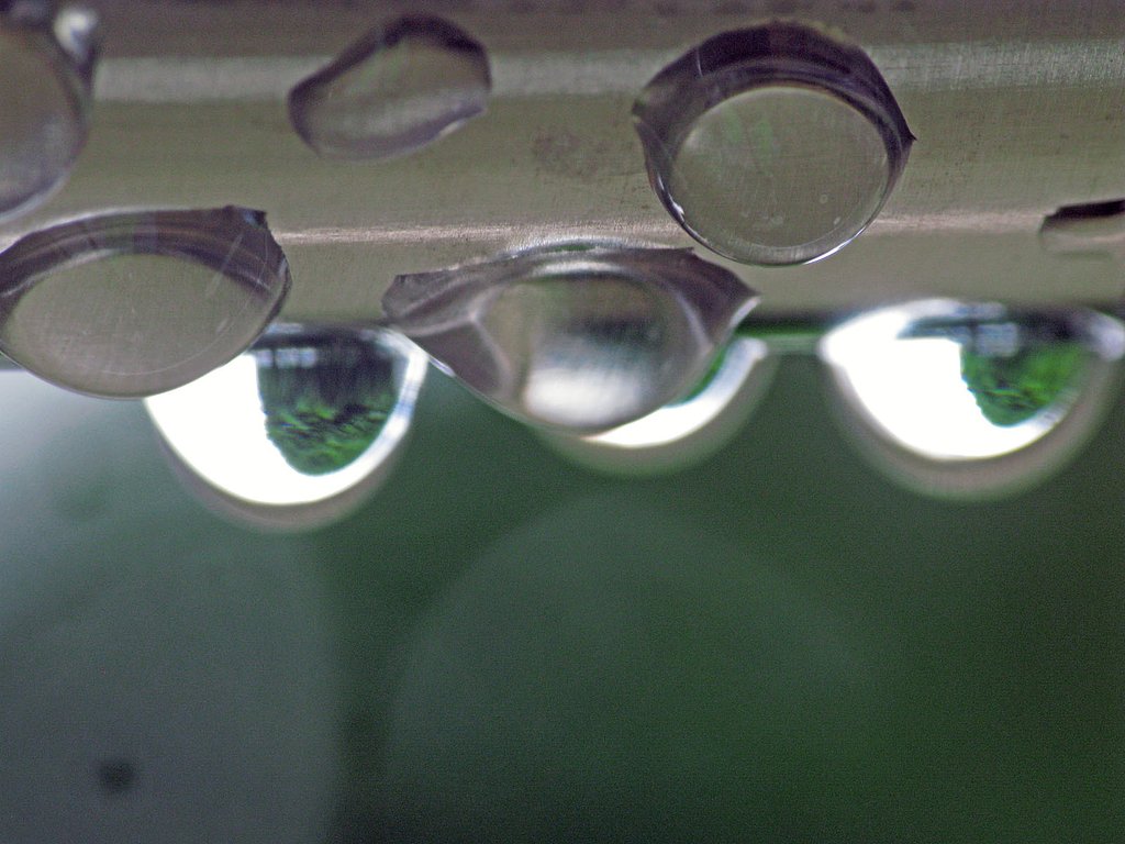 雨上がり