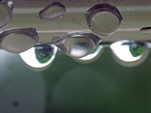 雨上がり