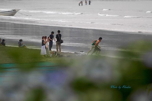 湘南の風