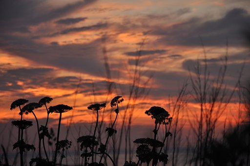 夕日