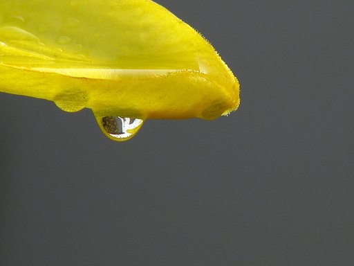雨上がり