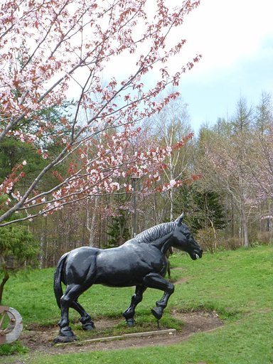 馬と桜