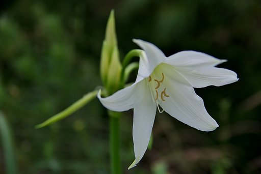 梅雨に爽やかさを!