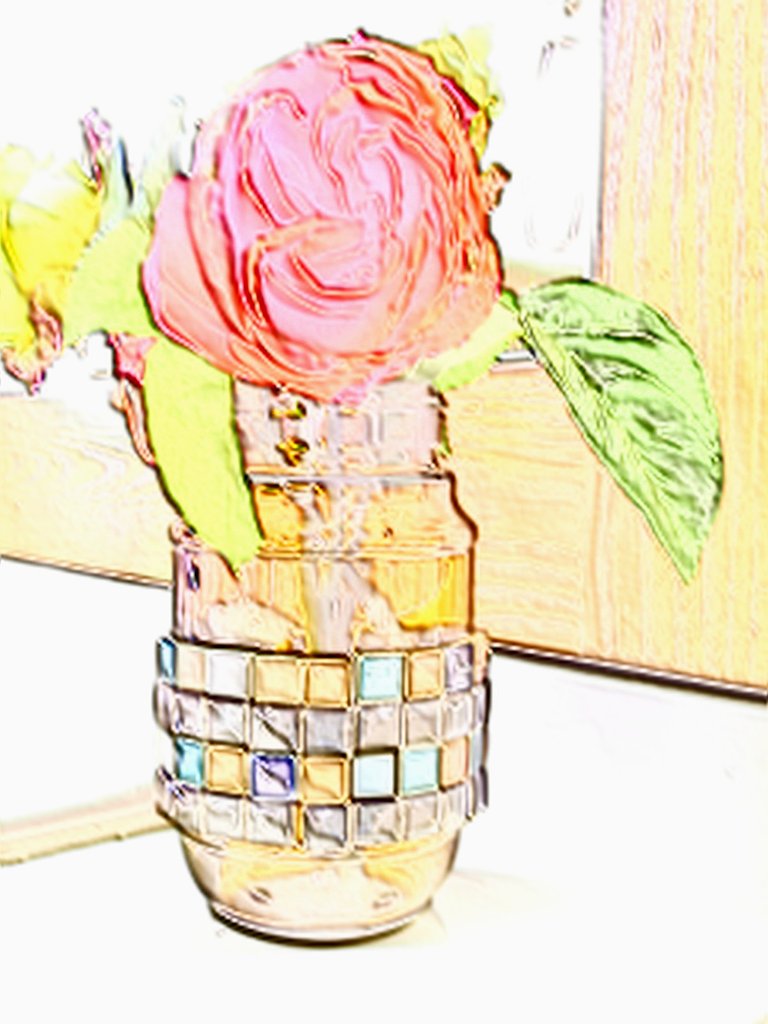 バラ一輪