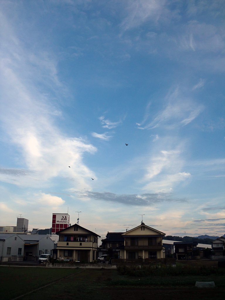 晴れました
