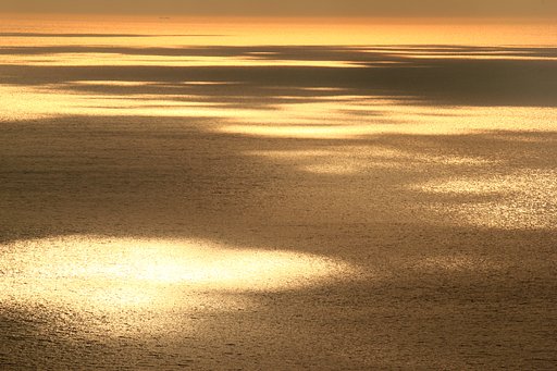 黄金の海