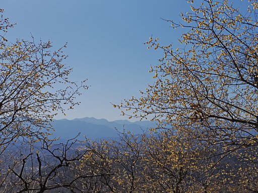 春、遠からじ