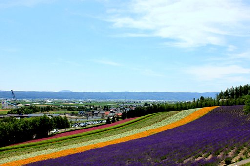 富良野