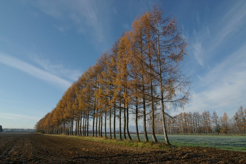 Shadowsの風景:4899の横