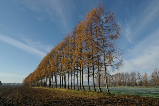 Shadowsの風景:4899の横