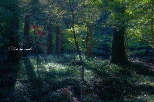 古代の森