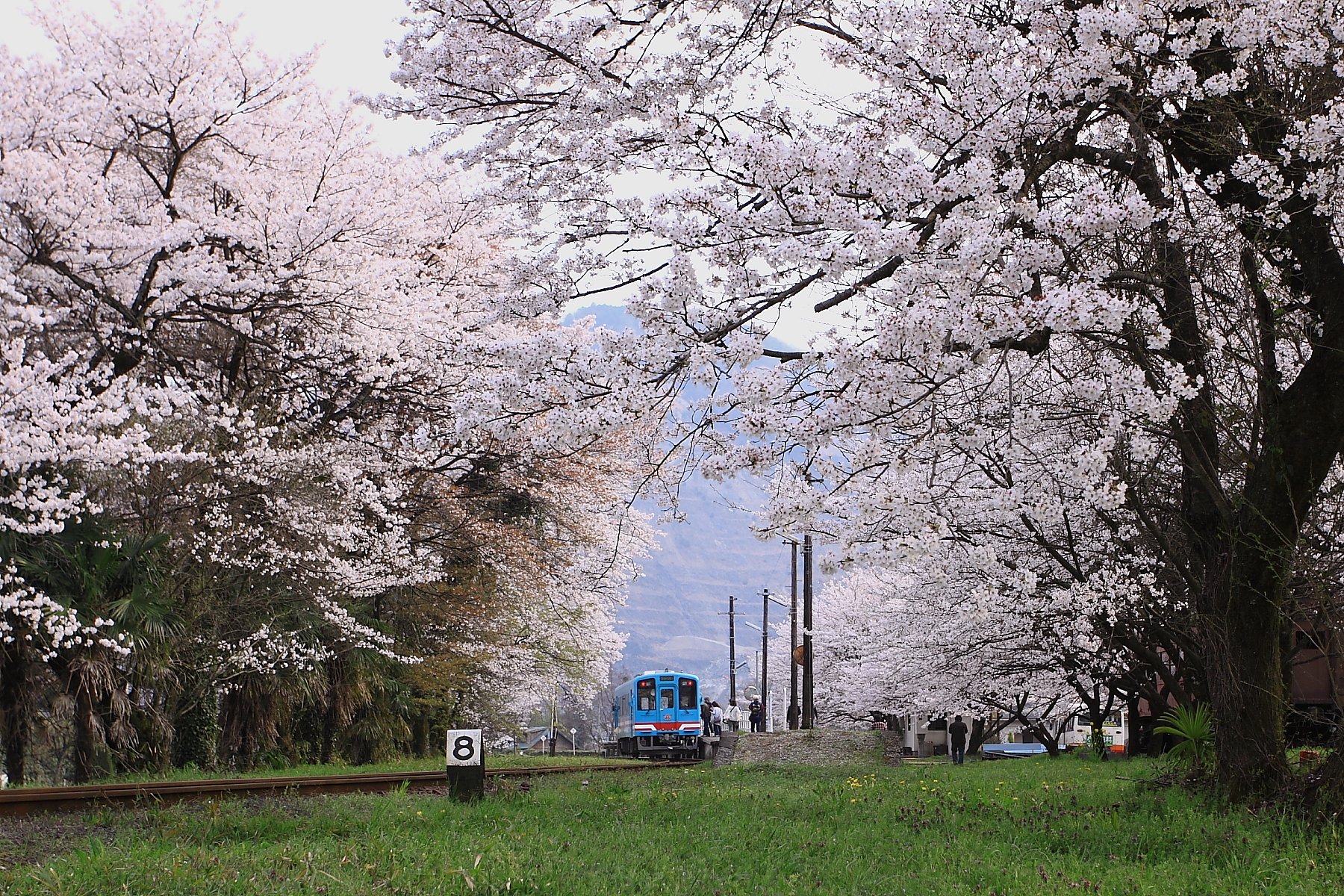 樽見鉄道
