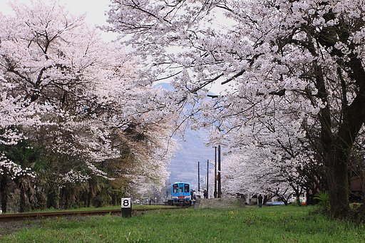 樽見鉄道