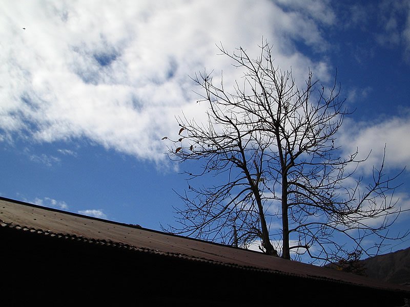 秋空