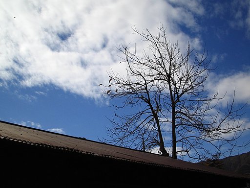 秋空