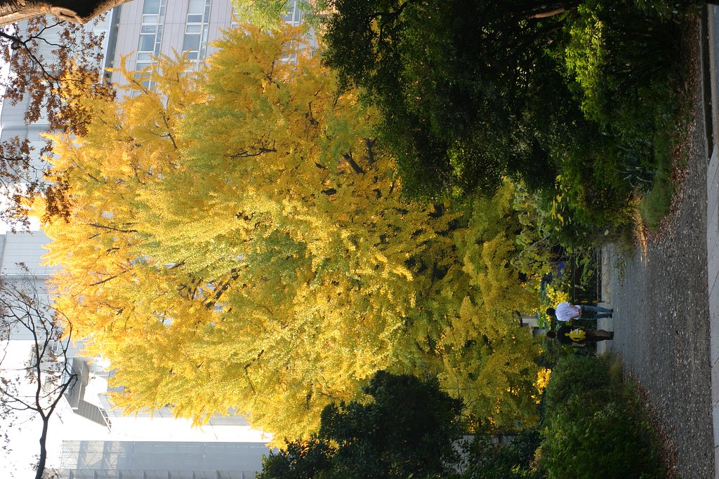 散策