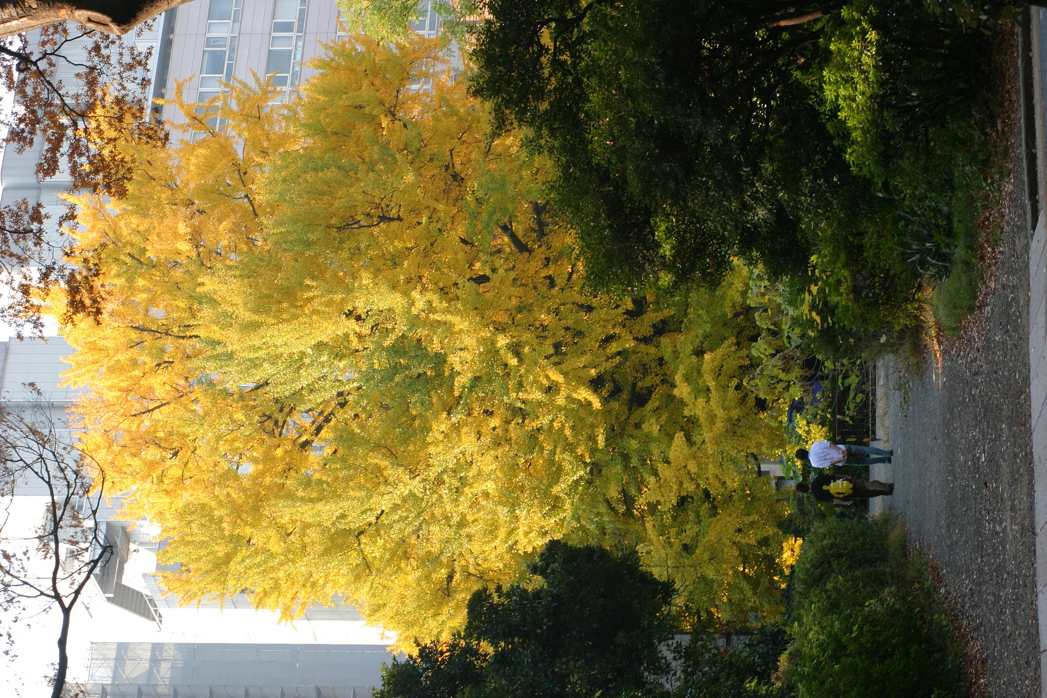散策