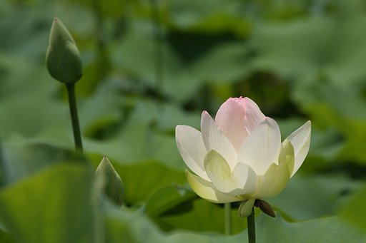 6月30日の写真