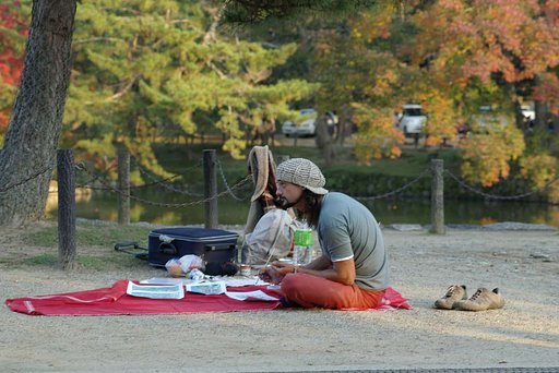 奈良公園にて（３）