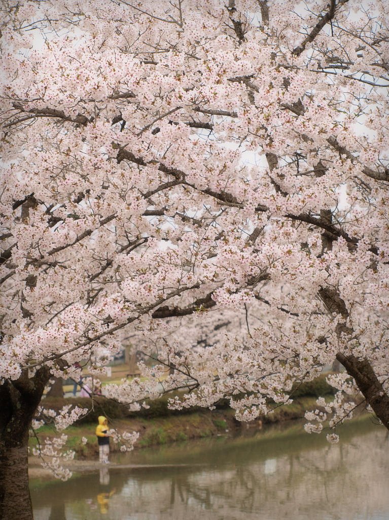 雨のち曇り