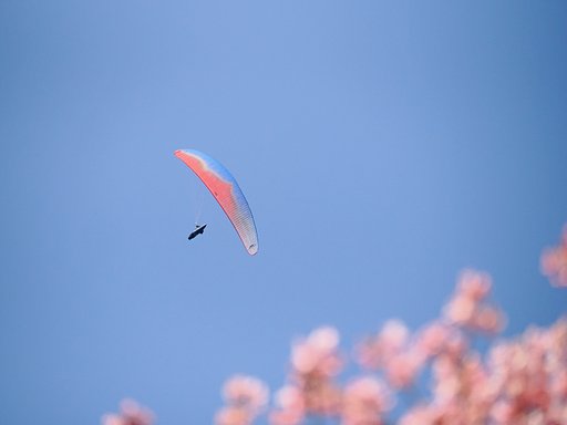 春風を感じて