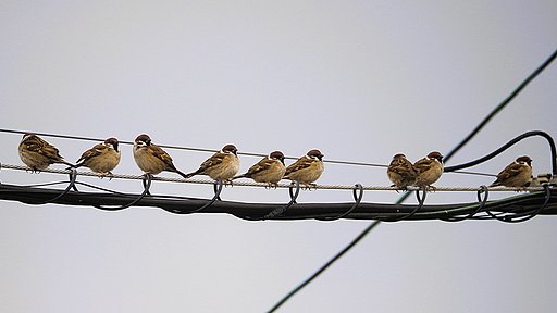 2月17日の写真