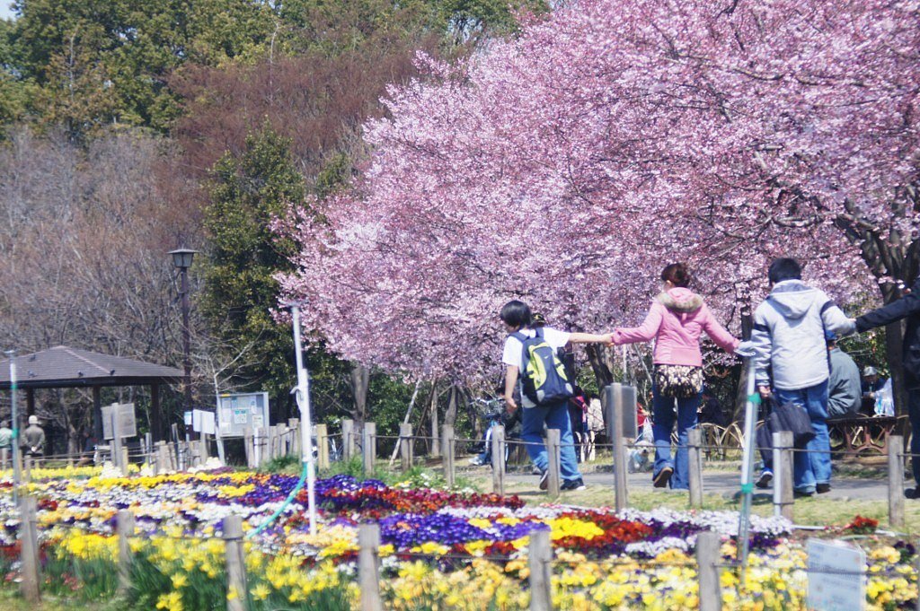 蘆花公園にて