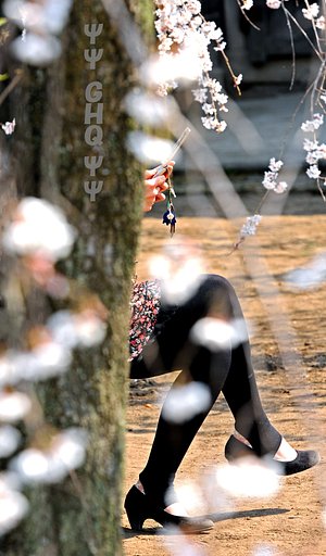 【おだやかに・・・春】　花　見