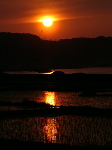 日本海の夕日はきれいだねぇ