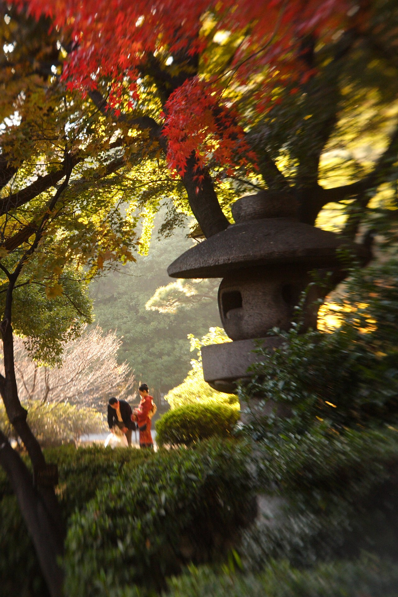 日比谷公園の紅葉