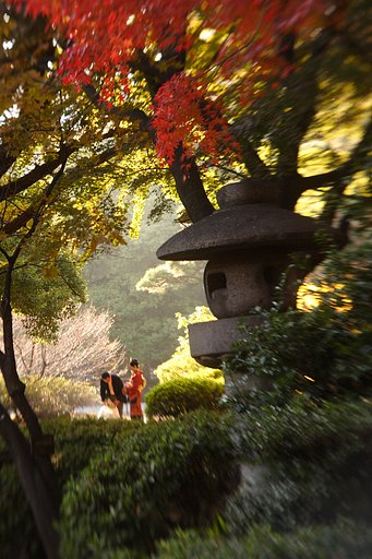 日比谷公園の紅葉