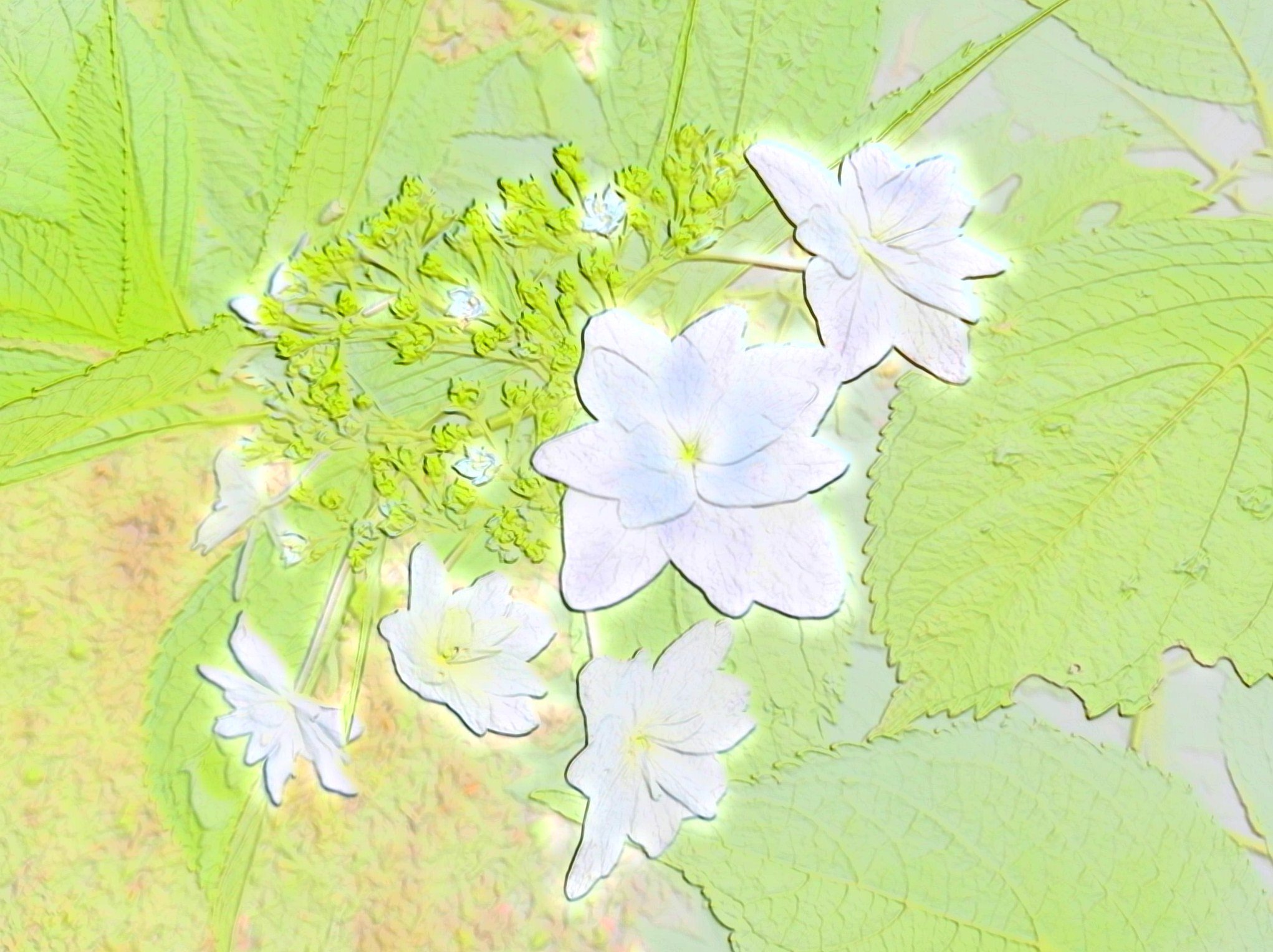 墨田の花火の水彩画