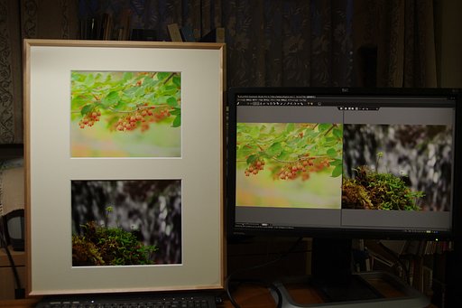 写真展とPX-5002#3