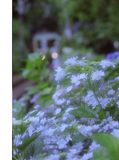墨田の花火ヘッドライトを受けて！