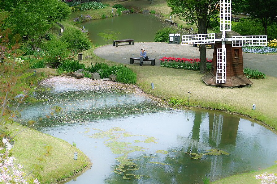 【心を癒す】のんびりと